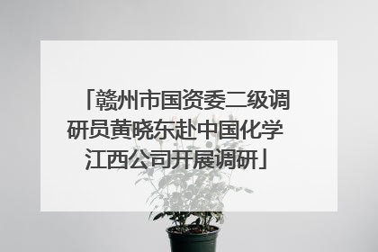 赣州市国资委二级调研员黄晓东赴中国化学江西公司开展调研