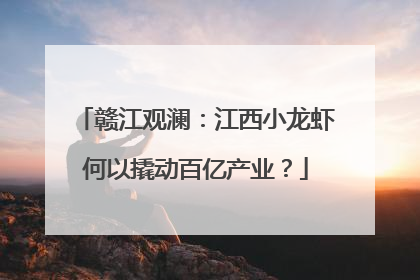 赣江观澜：江西小龙虾何以撬动百亿产业？