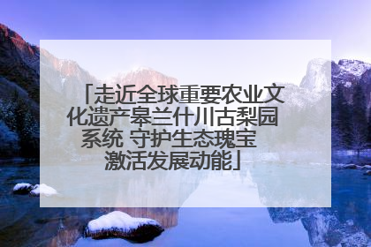 走近全球重要农业文化遗产皋兰什川古梨园系统 守护生态瑰宝 激活发展动能