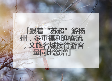 跟着“苏超”游扬州，多重福利迎客流，文旅名城接待游客量同比激增
