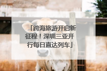 跨海旅游开启新征程！深圳三亚开行每日直达列车