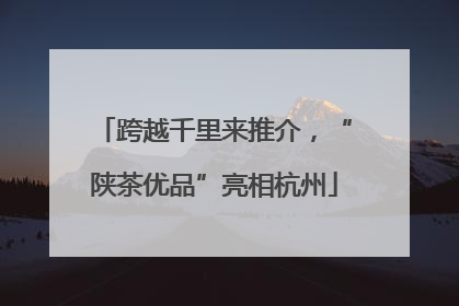 跨越千里来推介，“陕茶优品”亮相杭州