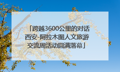 跨越3600公里的对话 西安-阿拉木图人文旅游交流周活动圆满落幕
