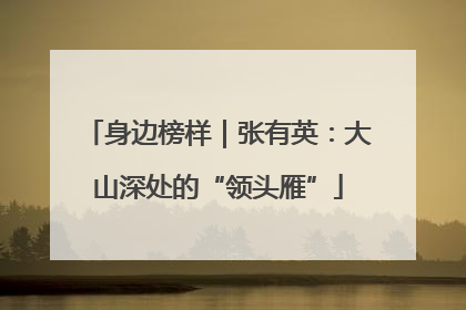 身边榜样｜张有英：大山深处的“领头雁”