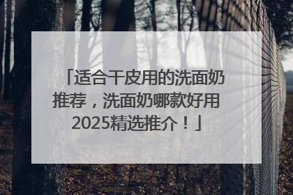 适合干皮用的洗面奶推荐，洗面奶哪款好用2025精选推介！