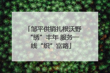 邹平供销扎根沃野“绣”丰年 服务一线“织”富路