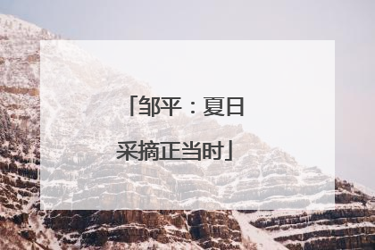 邹平：夏日采摘正当时