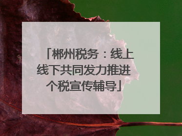 郴州税务：线上线下共同发力推进个税宣传辅导