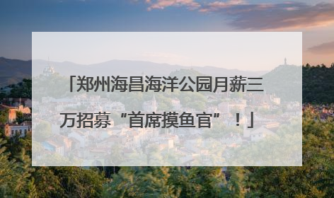 郑州海昌海洋公园月薪三万招募“首席摸鱼官”！