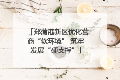 郑蒲港新区优化营商“软环境” 筑牢发展“硬支撑”