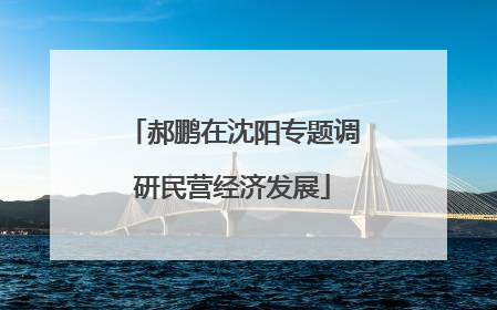 郝鹏在沈阳专题调研民营经济发展