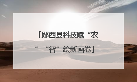 郧西县科技赋“农”“智”绘新画卷
