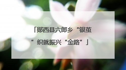 郧西县六郎乡“银茧”织就振兴“金路”