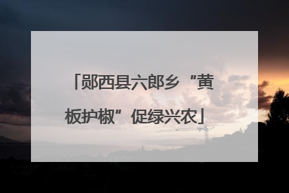 郧西县六郎乡“黄板护椒”促绿兴农