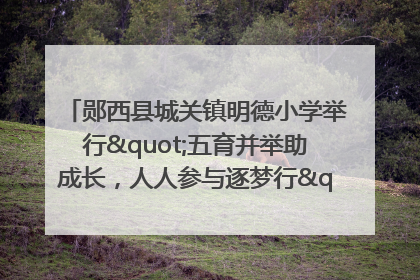 郧西县城关镇明德小学举行"五育并举助成长，人人参与逐梦行"庆六一活动