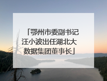 鄂州市委副书记汪小波出任湖北大数据集团董事长