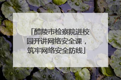 醴陵市检察院进校园开讲网络安全课，筑牢网络安全防线
