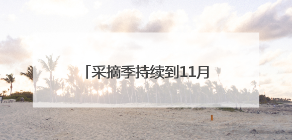采摘季持续到11月，谷城县庙滩镇邓家湾村的蜜桃丰收啦！