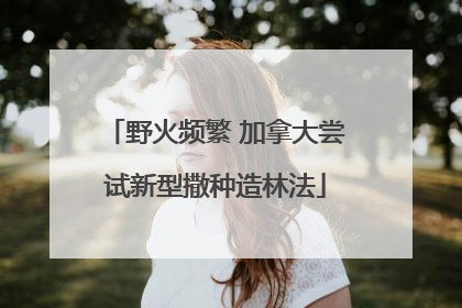 野火频繁 加拿大尝试新型撒种造林法