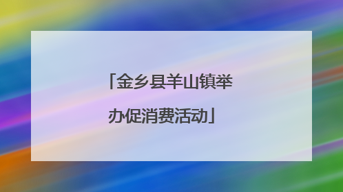金乡县羊山镇举办促消费活动