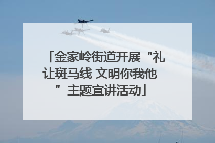 金家岭街道开展“礼让斑马线 文明你我他”主题宣讲活动