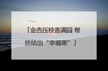 金杏压枝香满园 帮扶结出“幸福果”