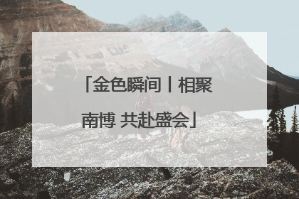 金色瞬间丨相聚南博 共赴盛会