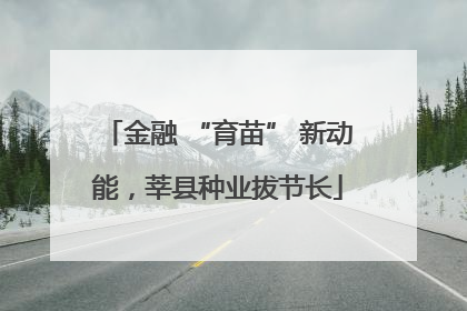 金融 “育苗” 新动能，莘县种业拔节长