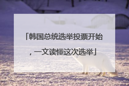 韩国总统选举投票开始，一文读懂这次选举