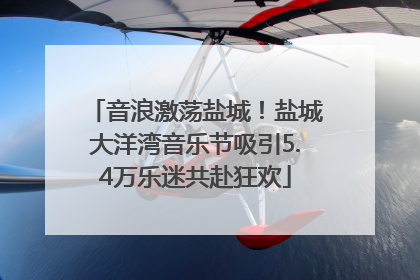音浪激荡盐城！盐城大洋湾音乐节吸引5.4万乐迷共赴狂欢