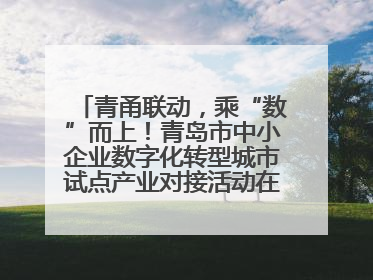 青甬联动，乘“数”而上！青岛市中小企业数字化转型城市试点产业对接活动在宁波开班
