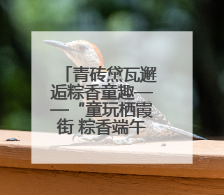 青砖黛瓦邂逅粽香童趣——“童玩栖霞街 粽香端午节”邀您共织时光记忆