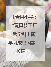 青园小学：“玩具梦工厂”跨学科主题学习成果闪耀校园