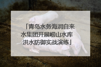 青岛水务海润自来水集团开展崂山水库洪水防御实战演练