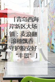青岛西海岸新区大场镇：麦浪翻滚穗飘香 守护粮安好“丰景”