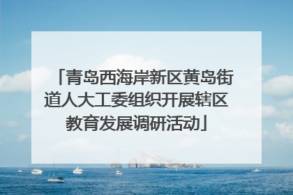 青岛西海岸新区黄岛街道人大工委组织开展辖区教育发展调研活动