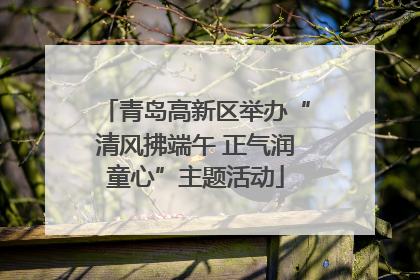 青岛高新区举办“清风拂端午 正气润童心”主题活动