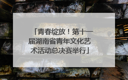 青春绽放！第十一届湖南省青年文化艺术活动总决赛举行