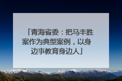 青海省委：把马丰胜案作为典型案例，以身边事教育身边人