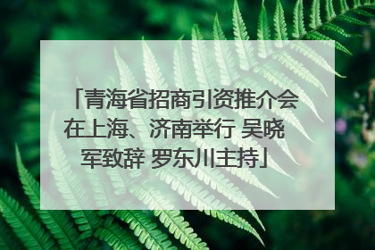 青海省招商引资推介会在上海、济南举行 吴晓军致辞 罗东川主持