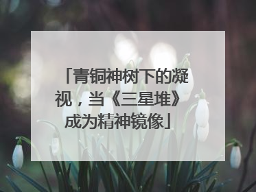 青铜神树下的凝视，当《三星堆》成为精神镜像