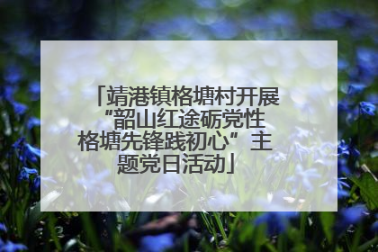 靖港镇格塘村开展“韶山红途砺党性 格塘先锋践初心”主题党日活动