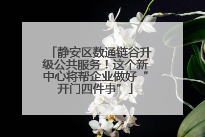 静安区数通链谷升级公共服务！这个新中心将帮企业做好“开门四件事”