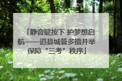 静音键按下 护梦想启航——道县城管多措并举保障“三考”秩序