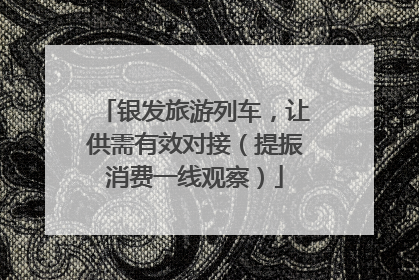 银发旅游列车，让供需有效对接（提振消费一线观察）