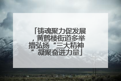 铸魂聚力促发展，黄鹤楼街道多举措弘扬“三大精神”凝聚奋进力量