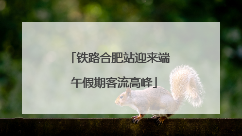 铁路合肥站迎来端午假期客流高峰