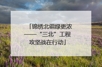 锦绣北疆绿更浓——“三北”工程攻坚战在行动