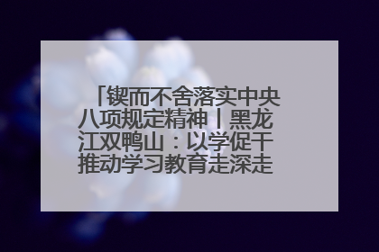 锲而不舍落实中央八项规定精神丨黑龙江双鸭山：以学促干推动学习教育走深走实 从小事入手写好“民生答卷”
