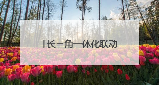 长三角一体化联动机制“合力成拳”